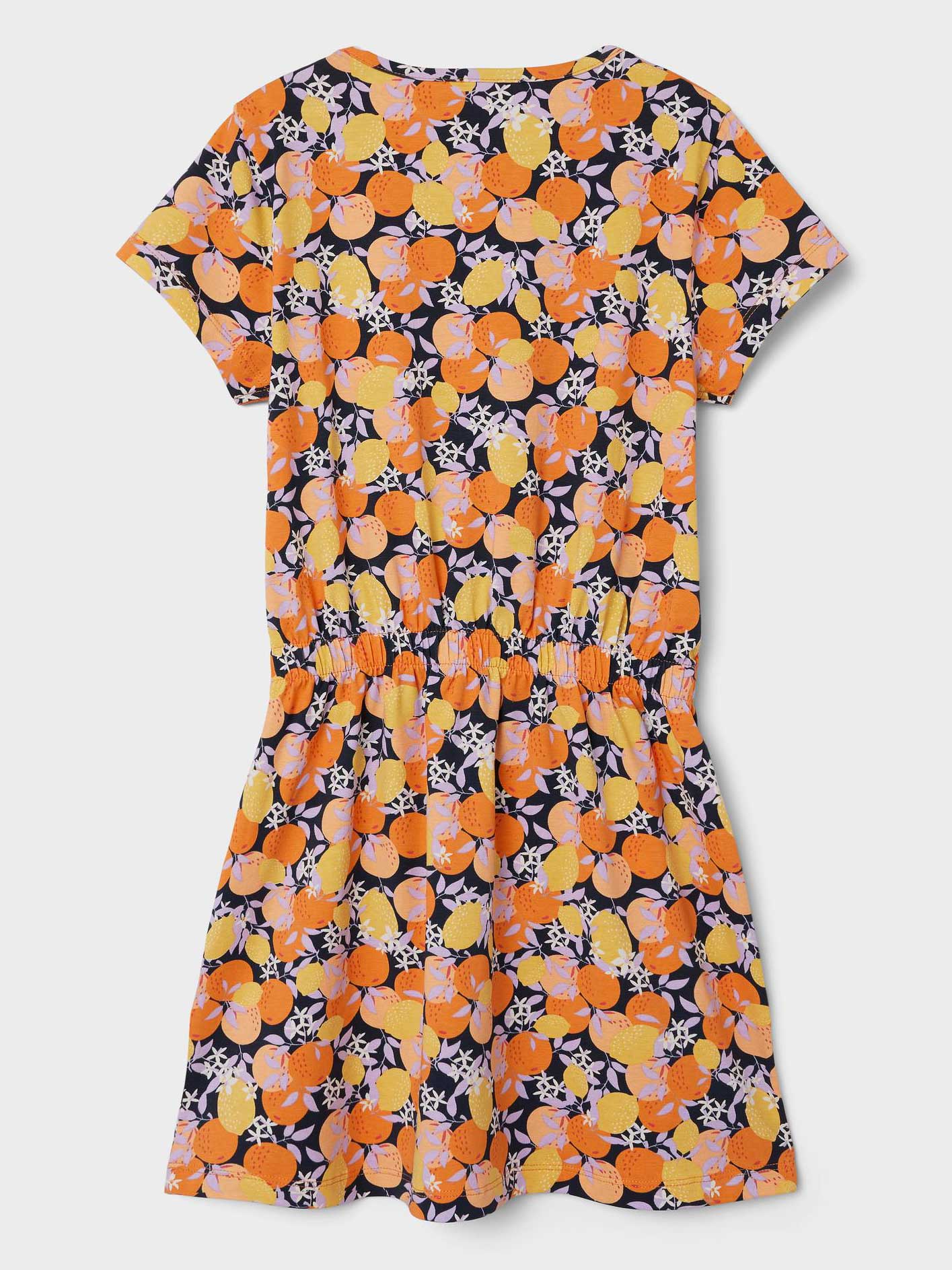 NAME IT Рокля NKFJINNIA SS DRESS PB