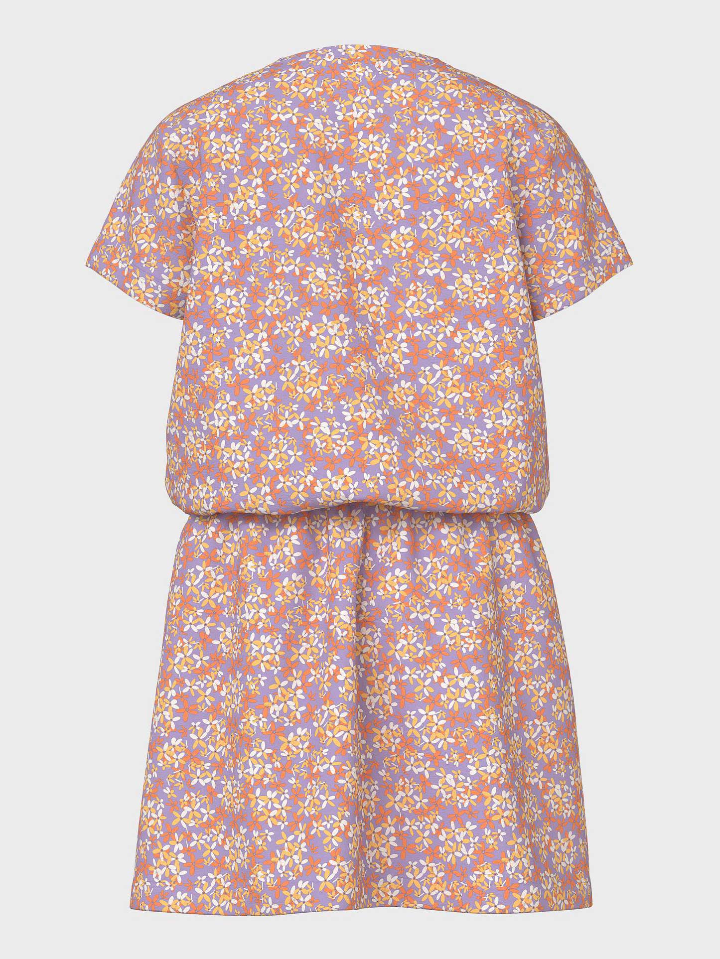 NAME IT Рокля NKFJINNIA SS DRESS PB