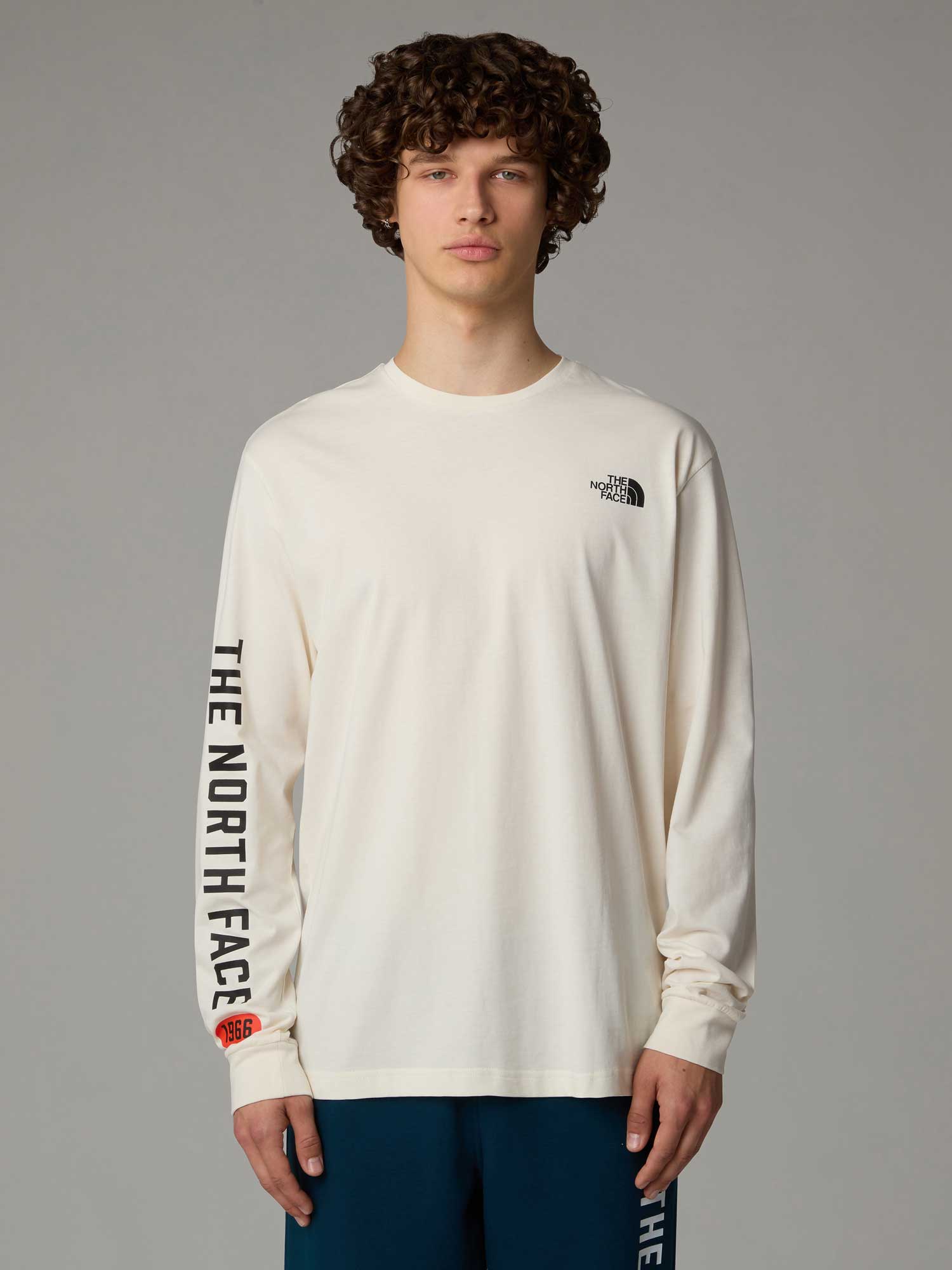 THE NORTH FACE Блуза M L\/S TEE VARSITY GRAPHIC
