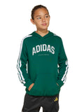 ADIDAS SPORTSWEAR Суитшърт Codes Collegiate Graphic Hoodie Kids