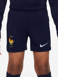 NIKE Къси панталони FFF LK NK DF ACDPR SHORT K