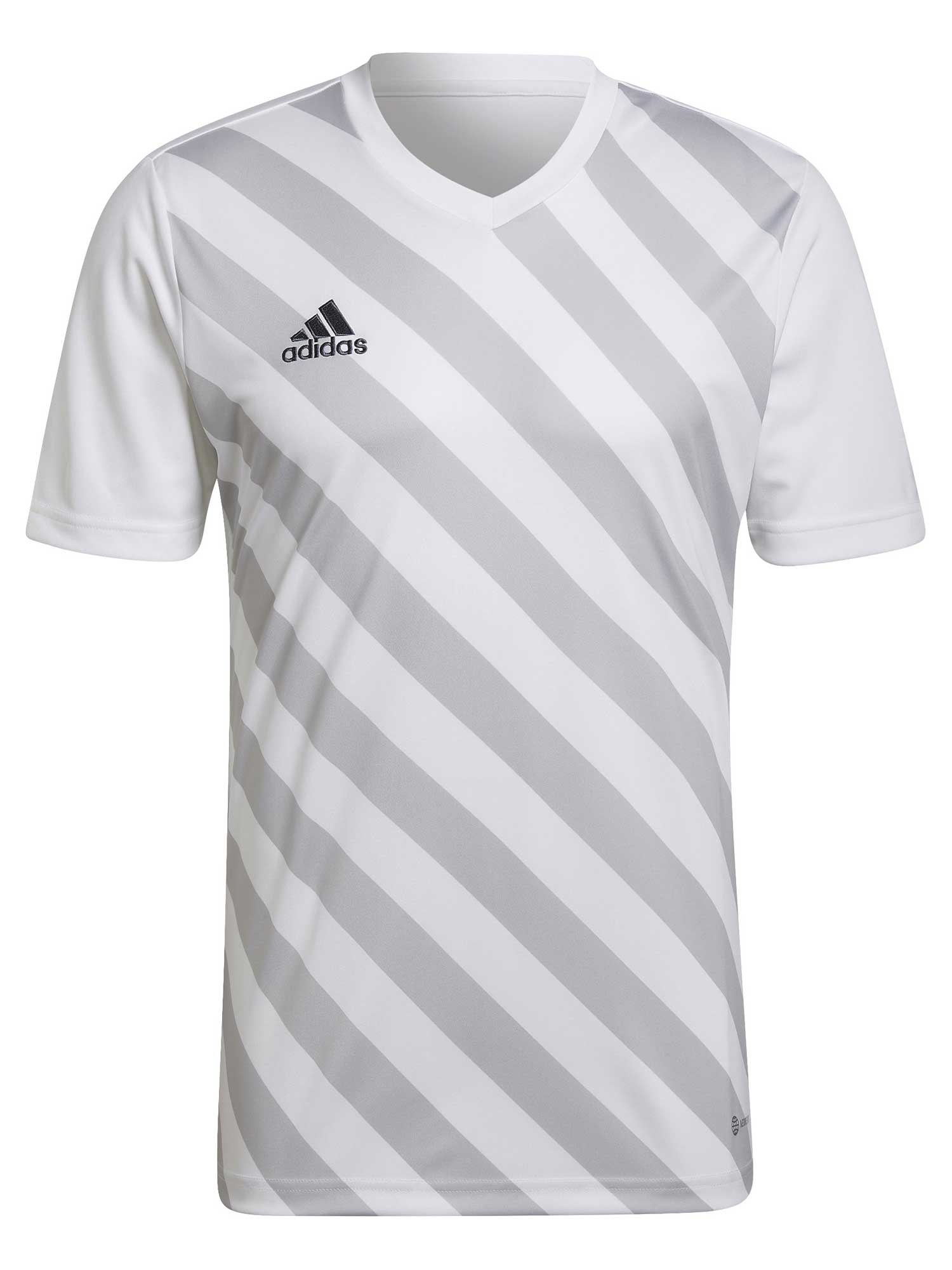 ADIDAS PERFORMANCE Тениска Entrada 22 Graphic Jersey