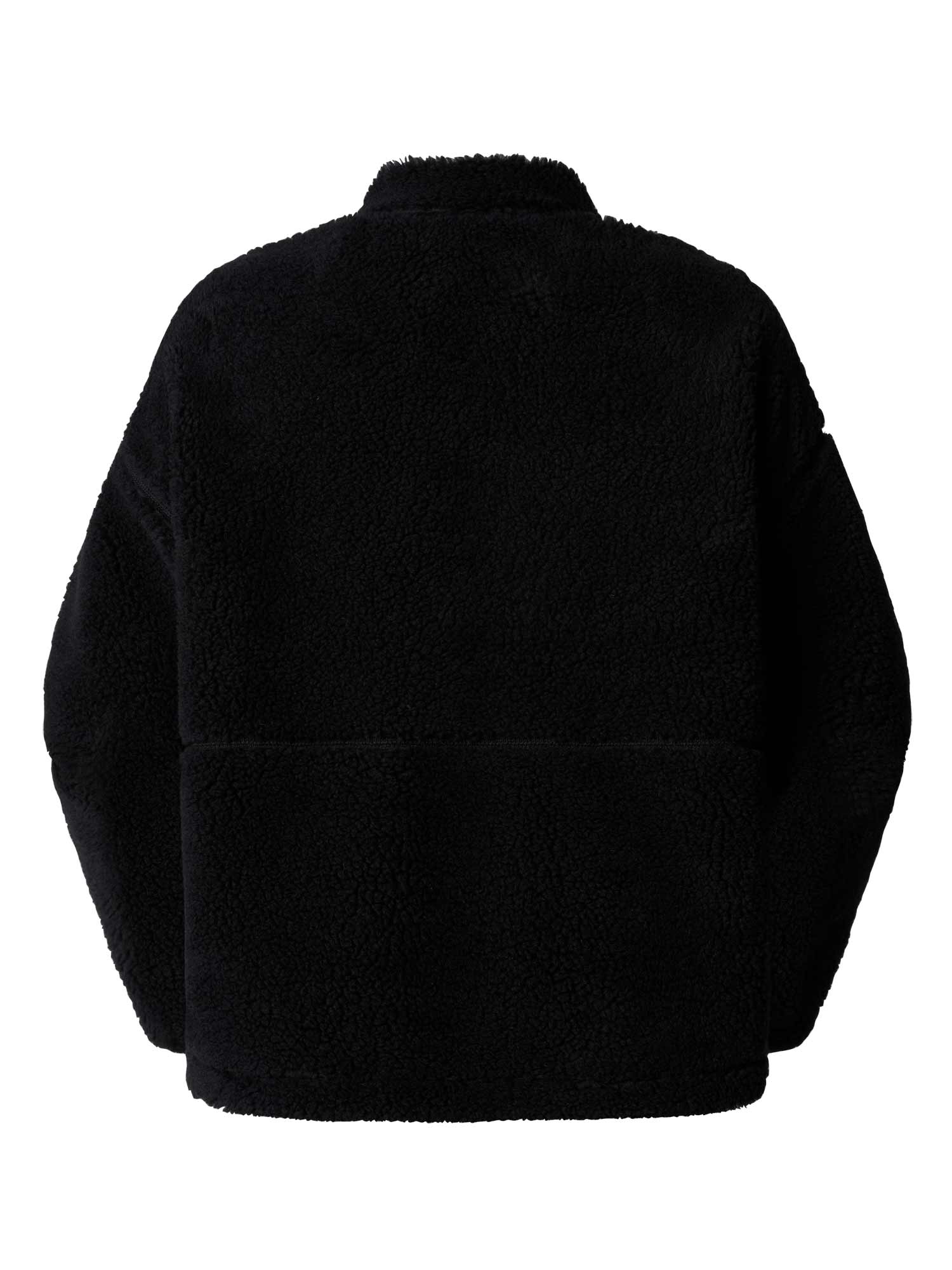 THE NORTH FACE Яке W EXTREME PILE 2 FZ JACKET