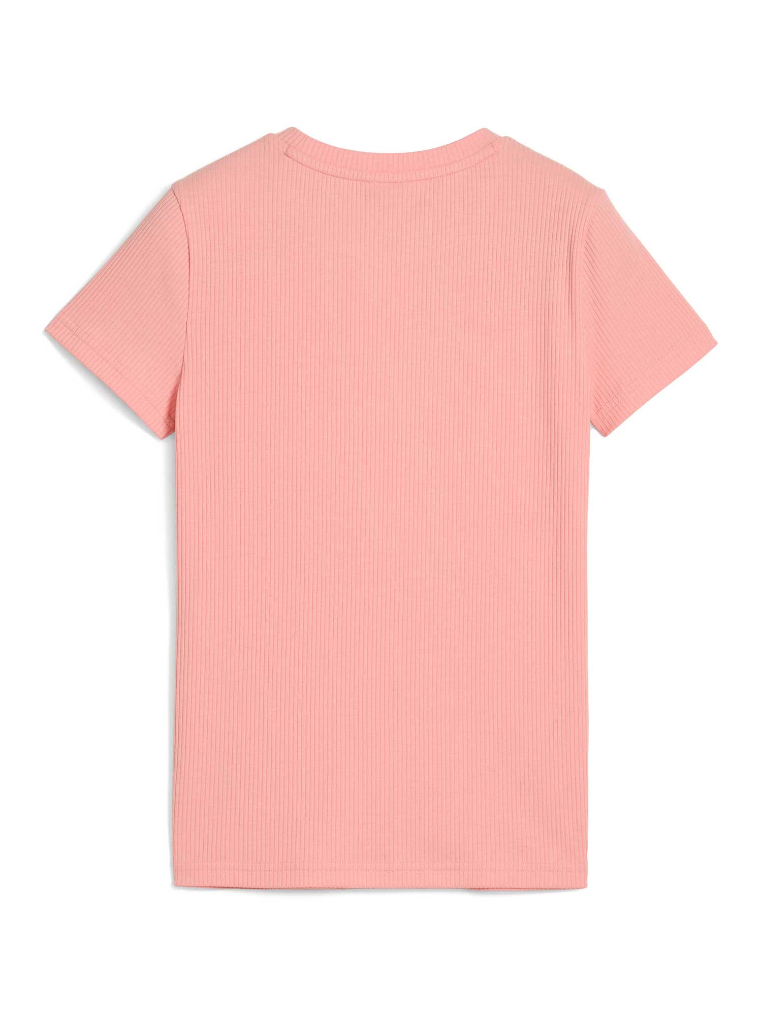 PUMA Тениска Graphics Ribbed Tee IV G
