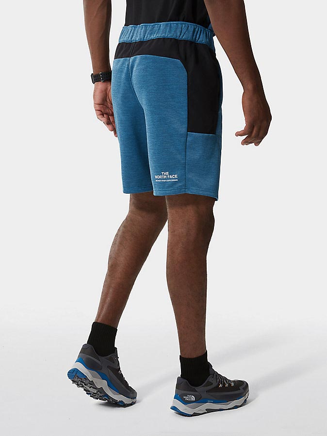 THE NORTH FACE Къси панталони M MA FLEECE