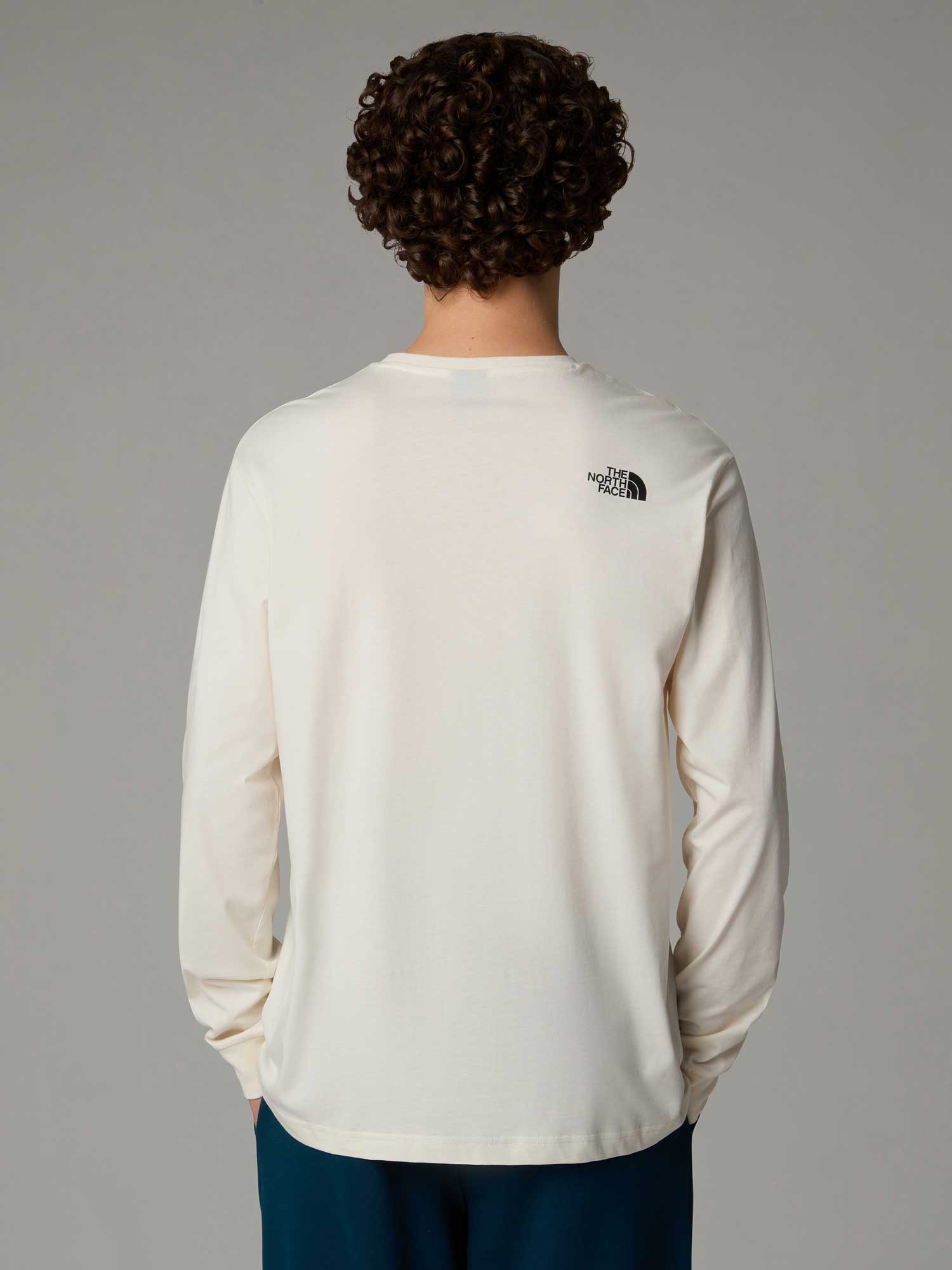 THE NORTH FACE Блуза M L\/S TEE VARSITY GRAPHIC