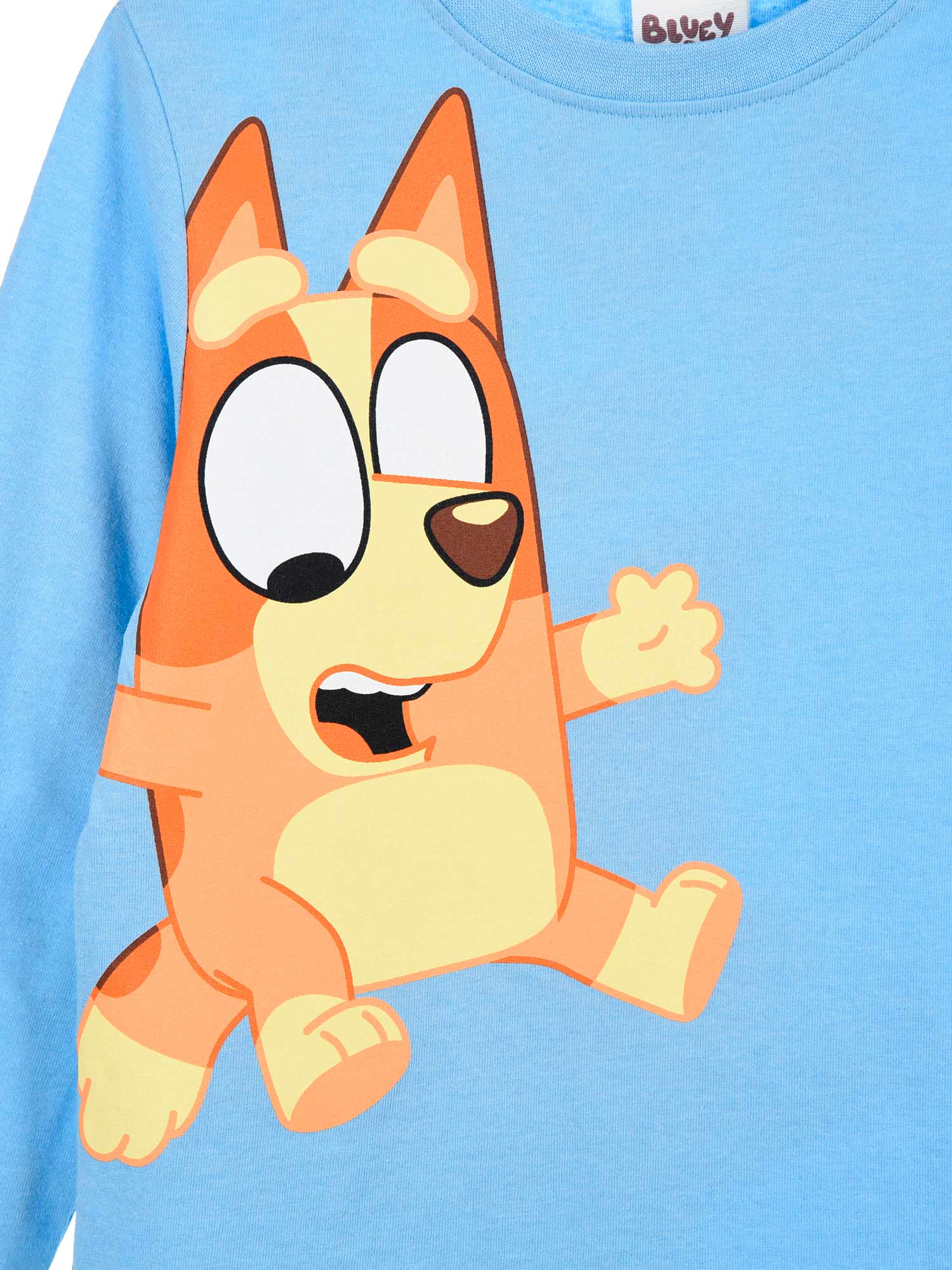 KIDS MOVIE HEROES Блуза Bluey